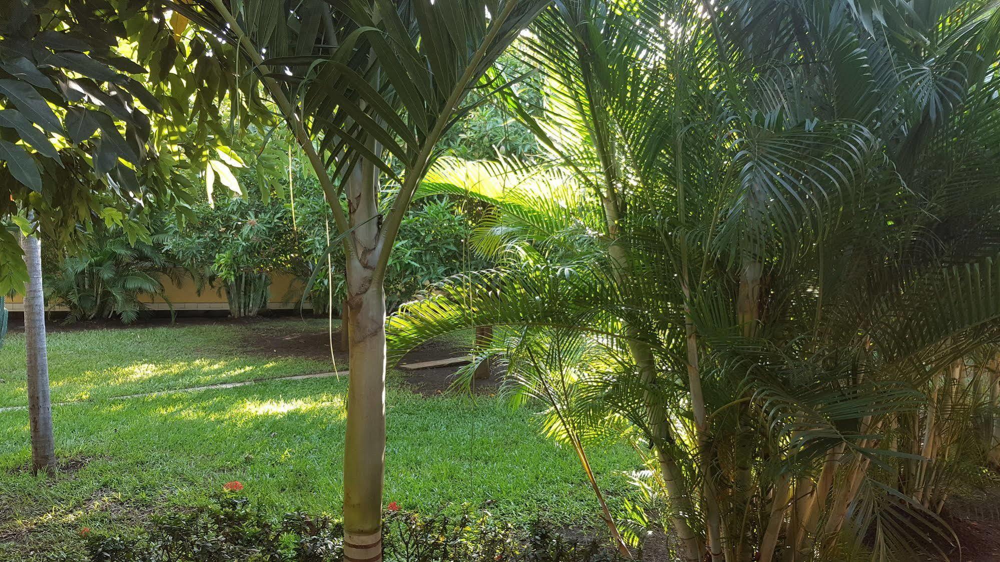 Hotel La Arboleda Managua Eksteriør billede