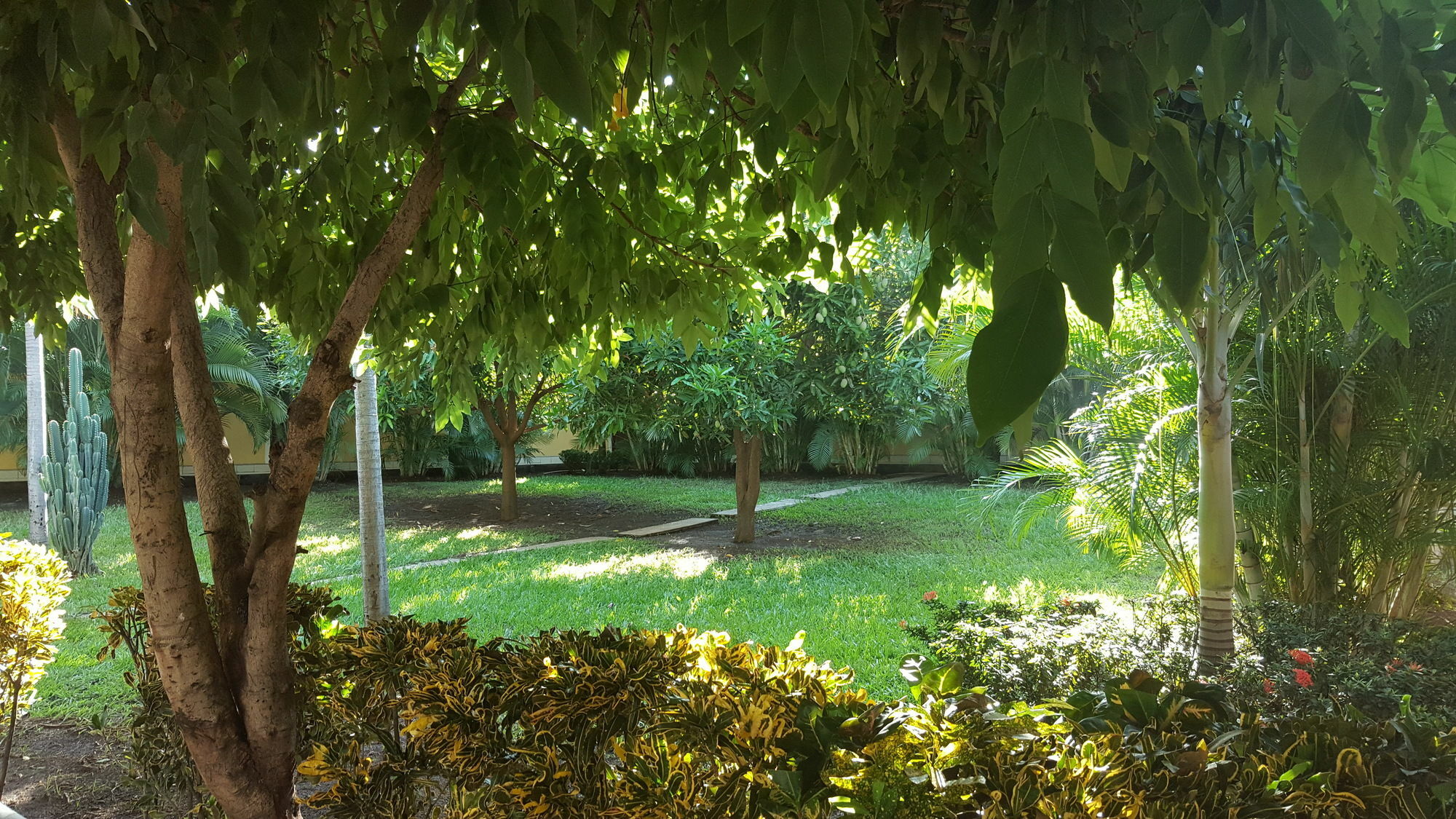 Hotel La Arboleda Managua Eksteriør billede